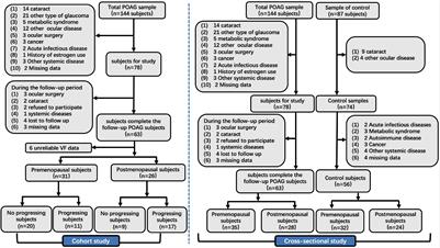 Association Between Sex Hormones and Visual Field Progression in Women With Primary Open Angle Glaucoma: A Cross-Sectional and Prospective Cohort Study